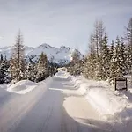 Zillertal Arena 2 *