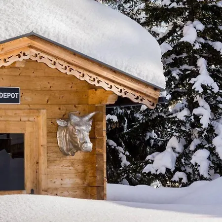 Zillertal Arena 2 *