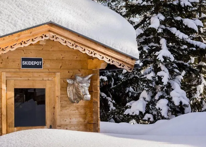 Zillertal Arena 2 *